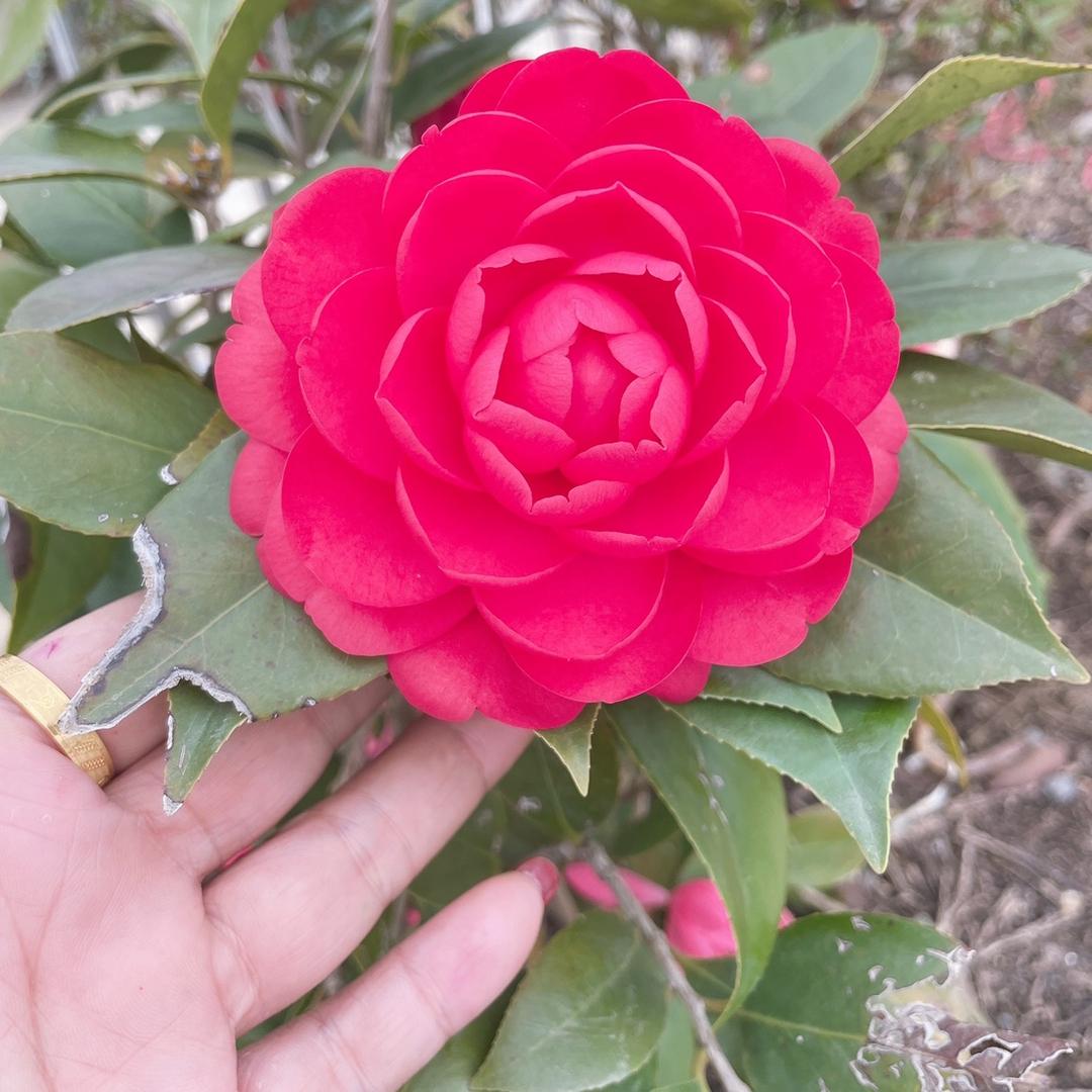 过去的就让它过去吧🥹🥹