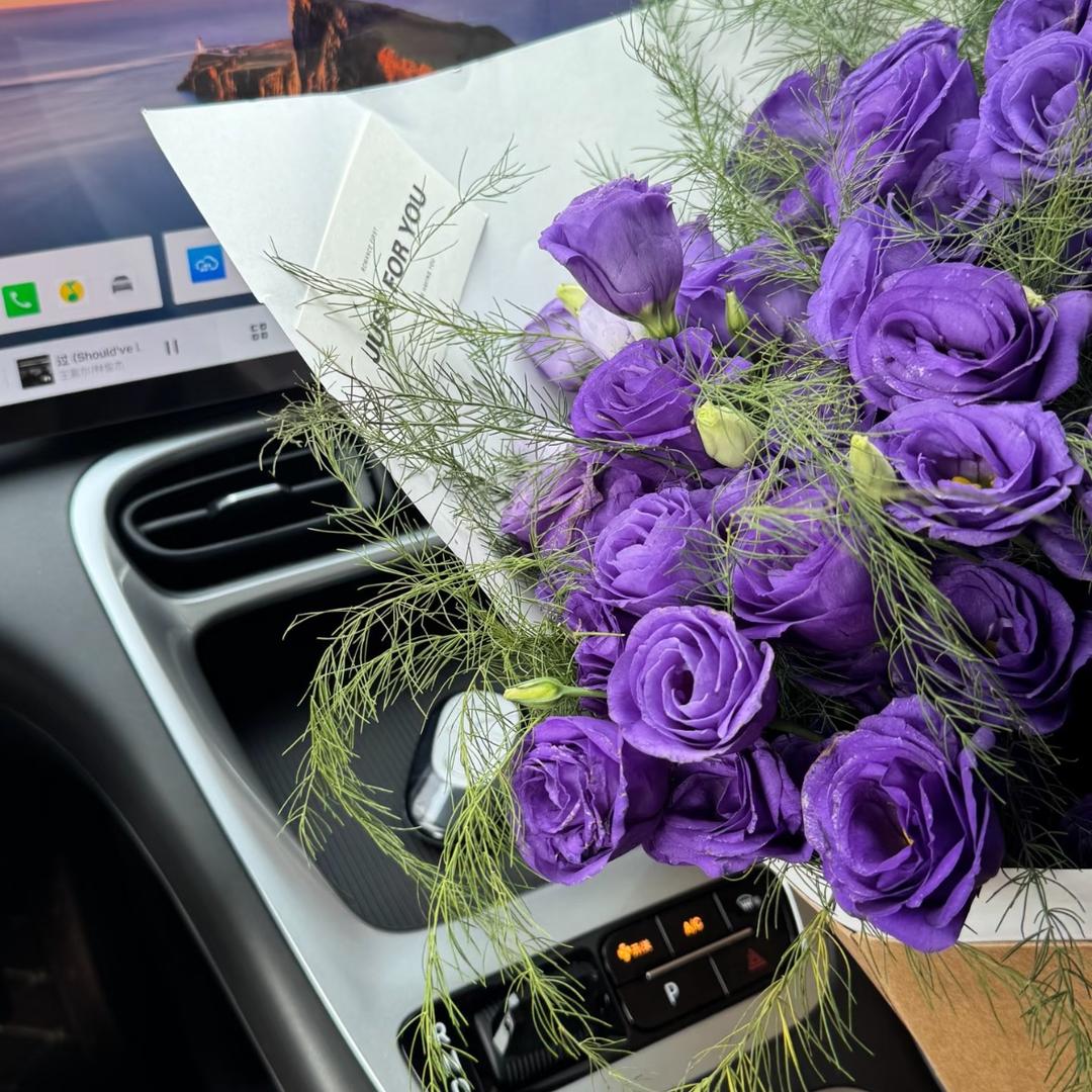 小兰的星愿日记