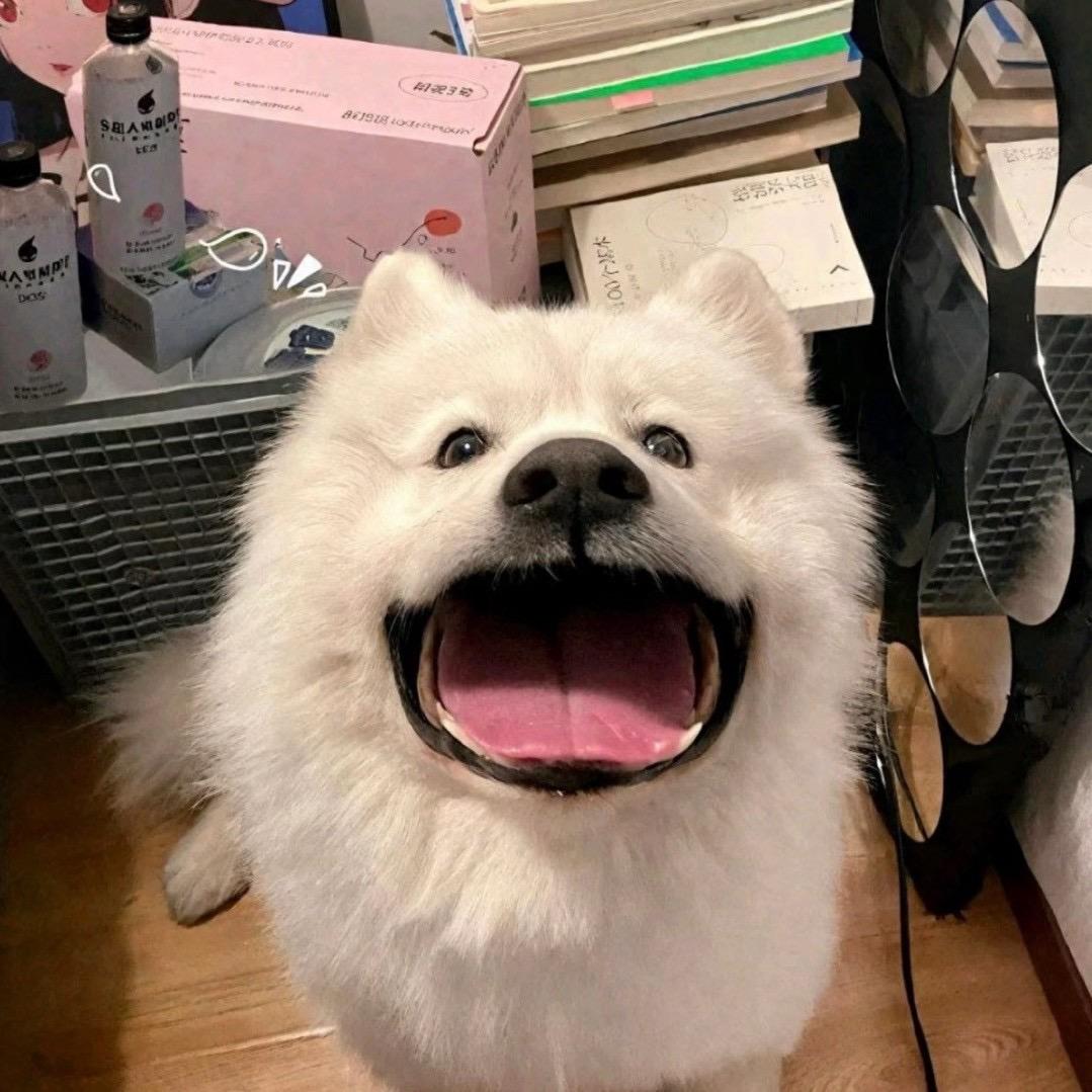 说韩语的湖南人