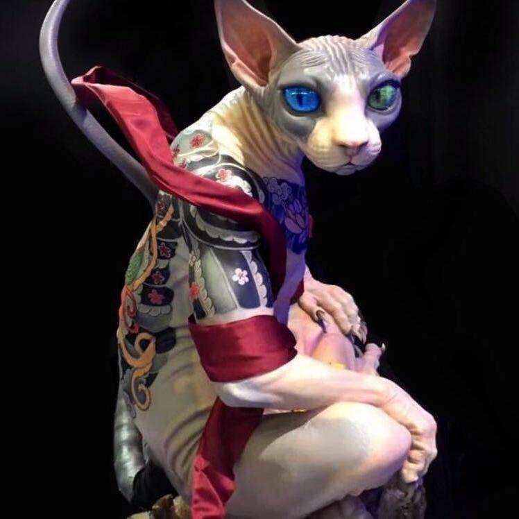 酷猫宠物优品精选