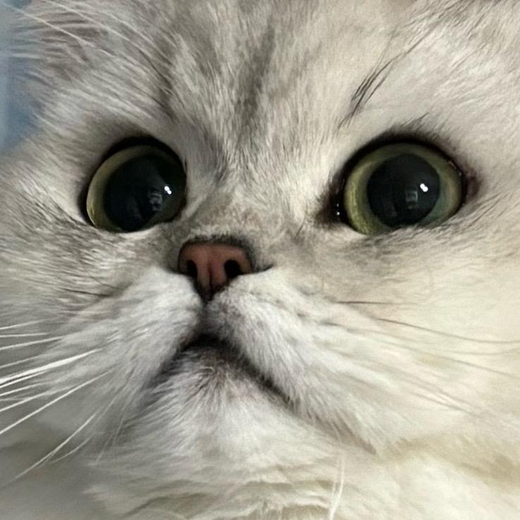 AAA水泥批发Q总