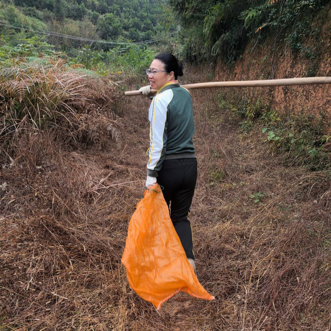 柚子姐姐@陳澜澜