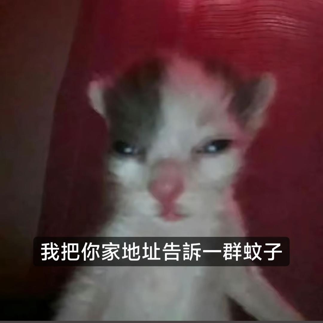文没门
