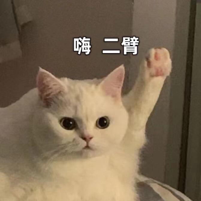 十一