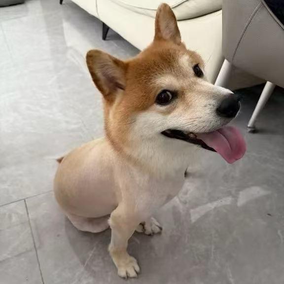 小寒