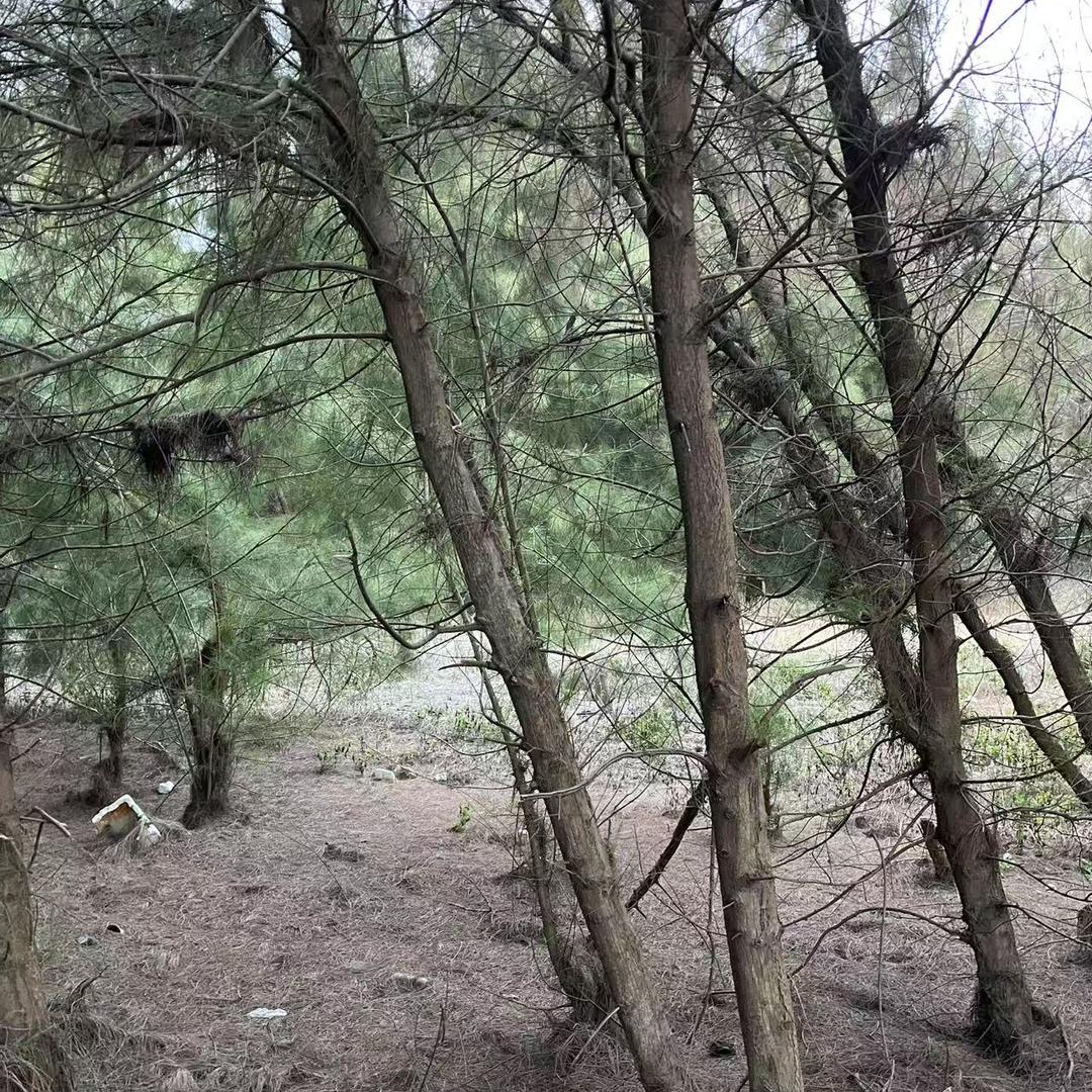 淘乐山货