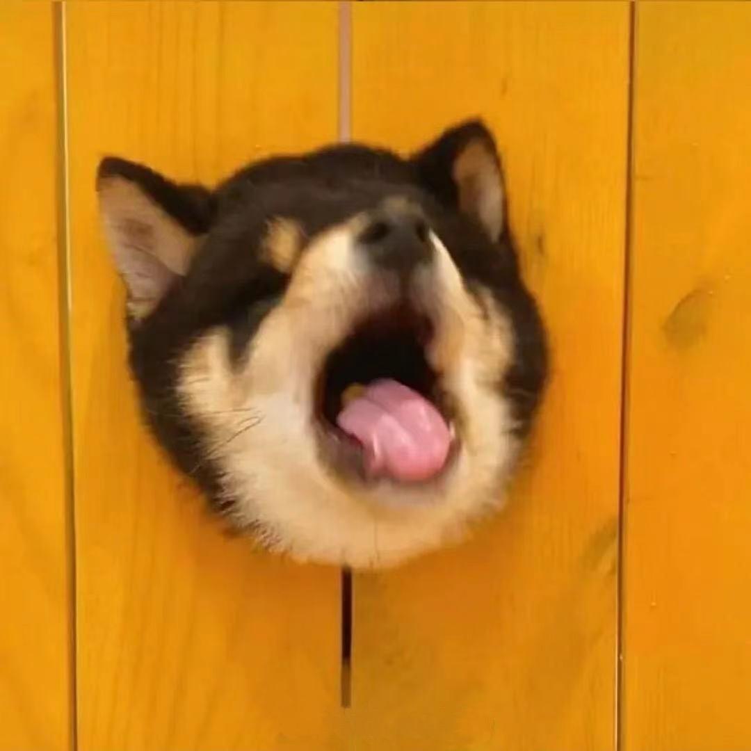 飞走的船