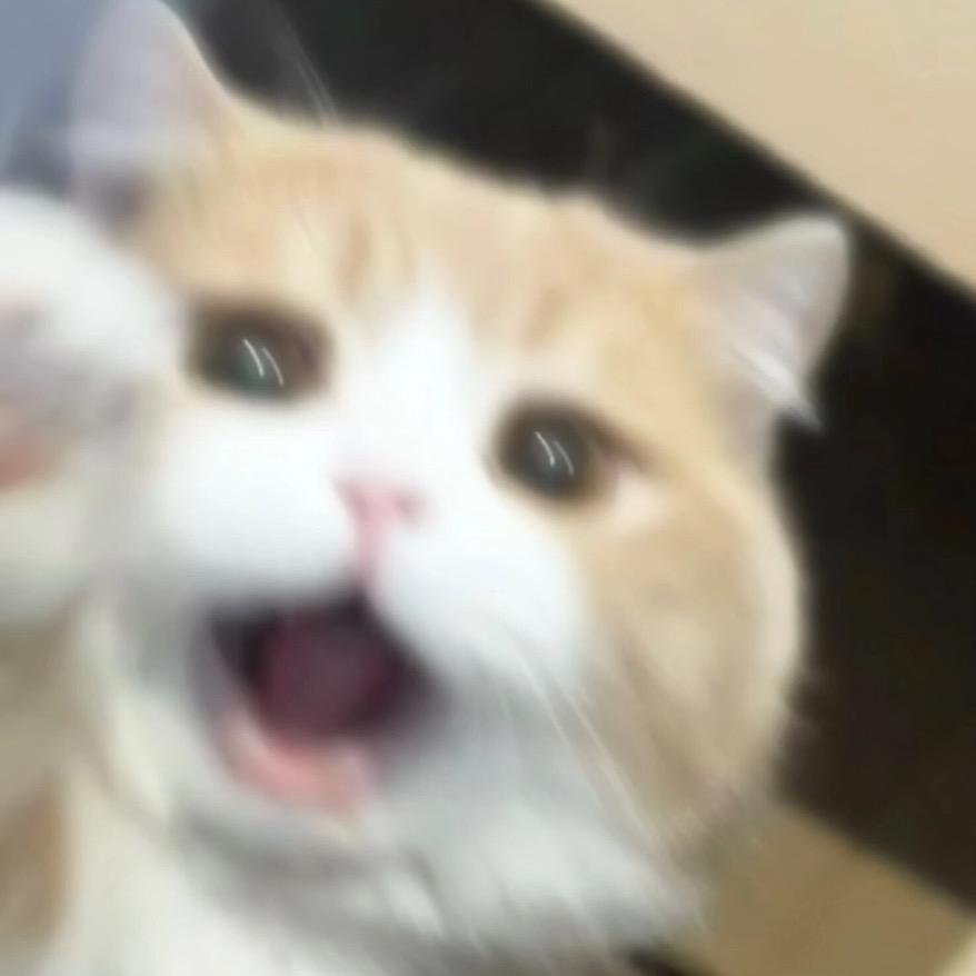 我要金耶