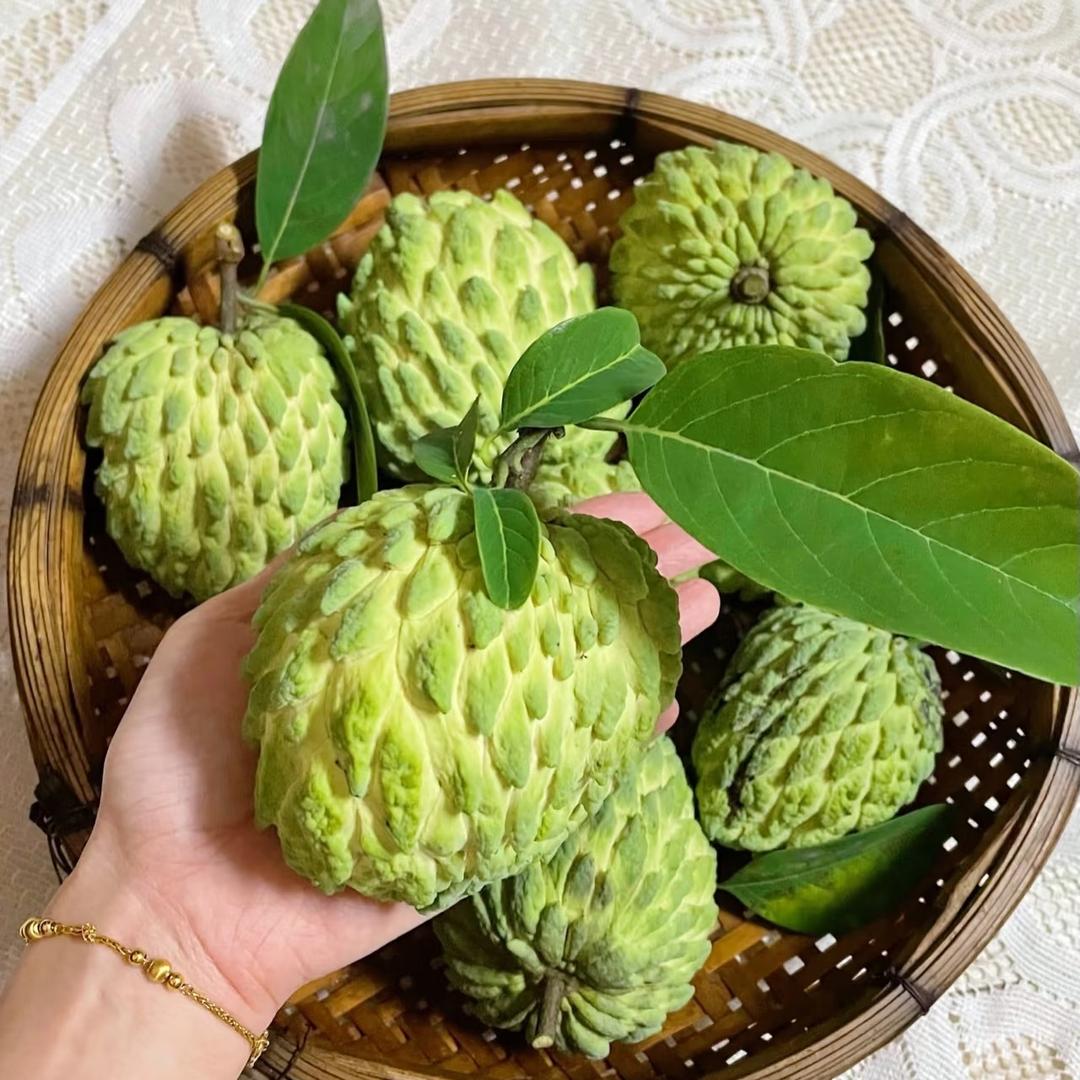 ic果批发