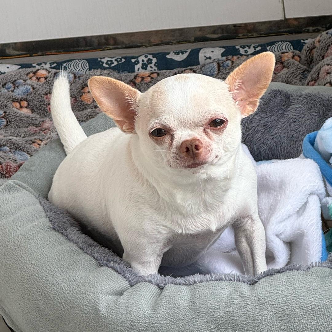 十万个非遗冷知识