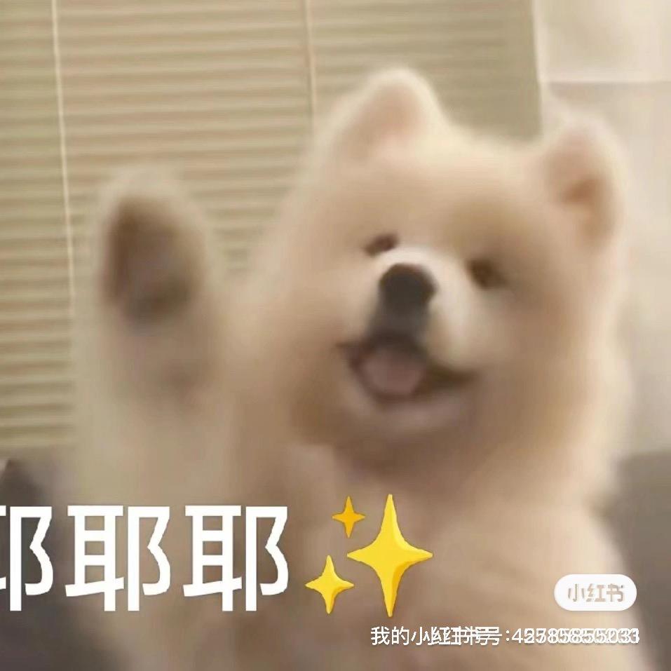 白日梦～
