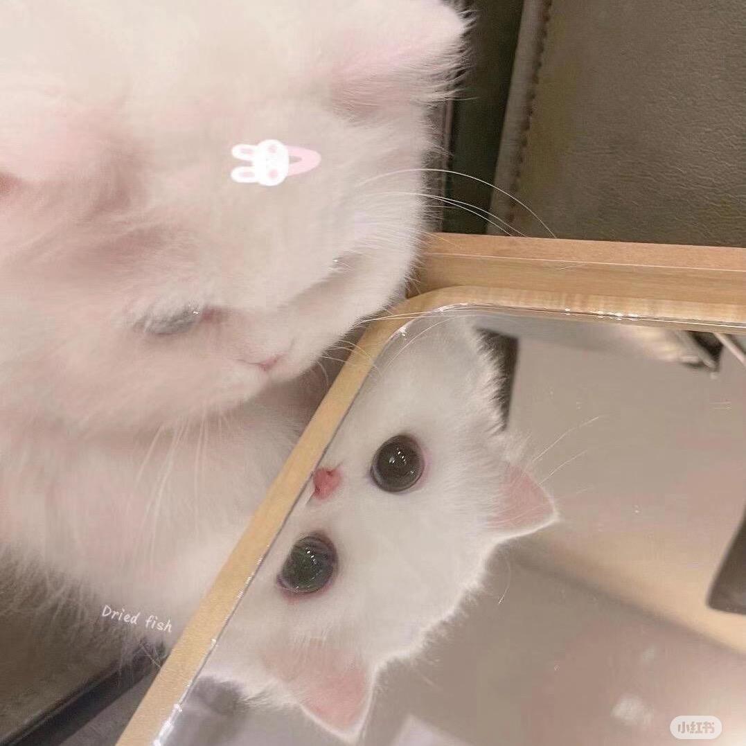 sweet🌟