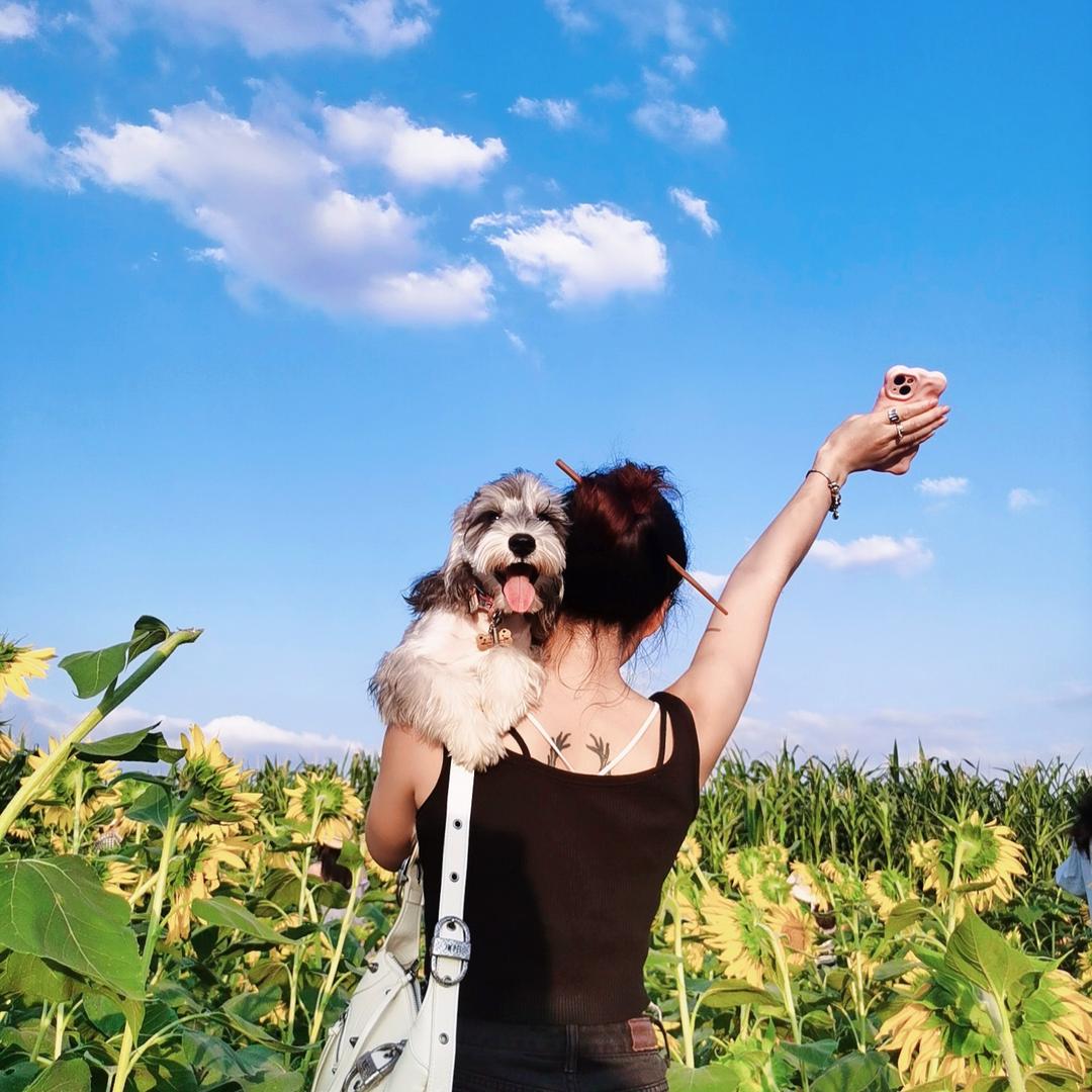 金丽爱养狗（在温江）（带娃中…