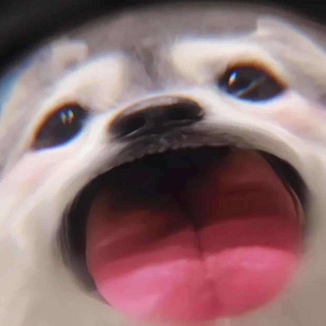 给你一个大比兜