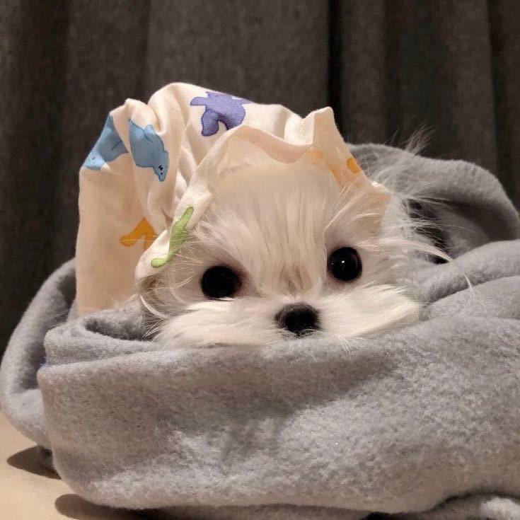 𝐱𝐱𝐥𝐨𝐯𝐞