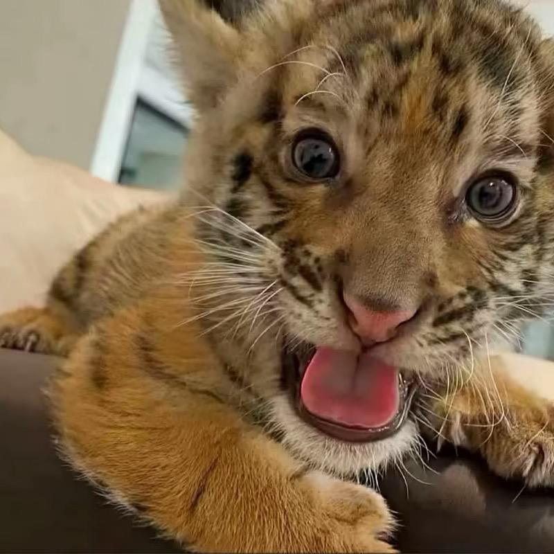 踹死瘸子那条好腿