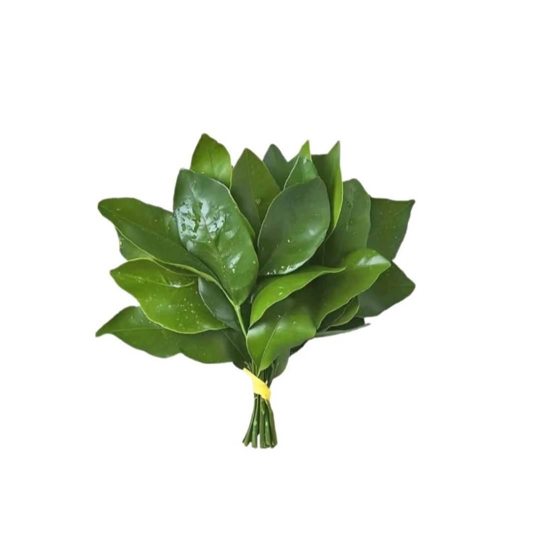 你洗了蒜了