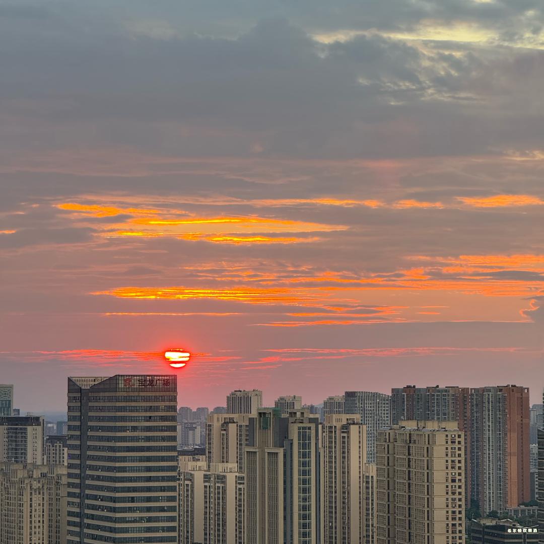 辛愿说