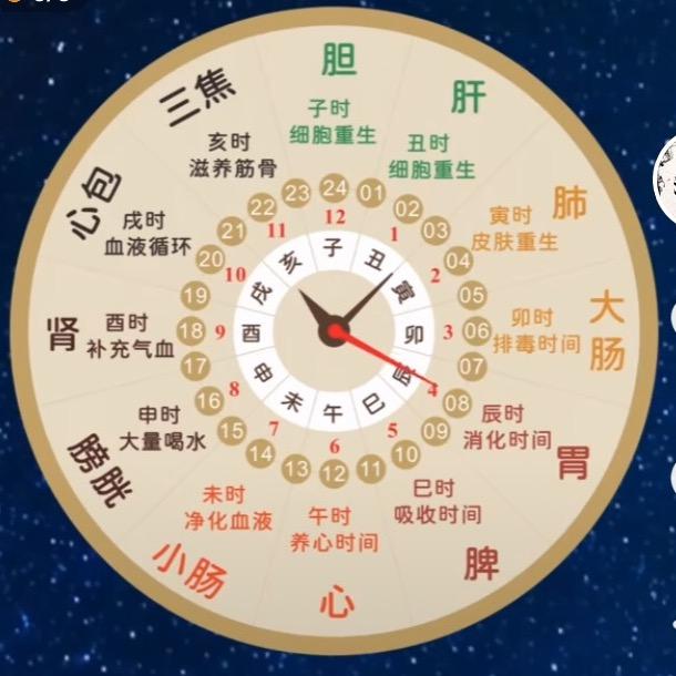 子羽绪钊