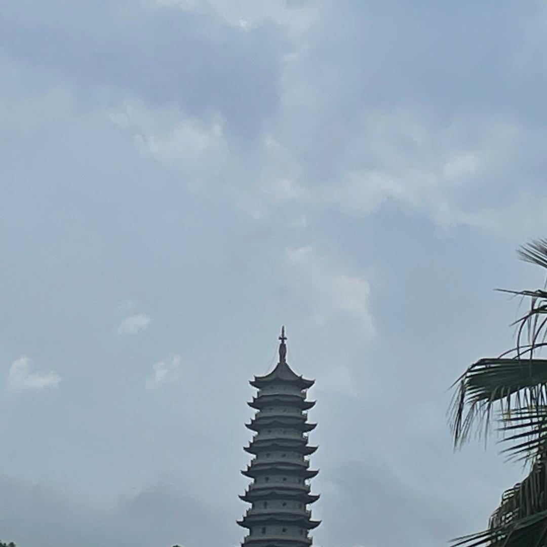 百草赞直播间专用