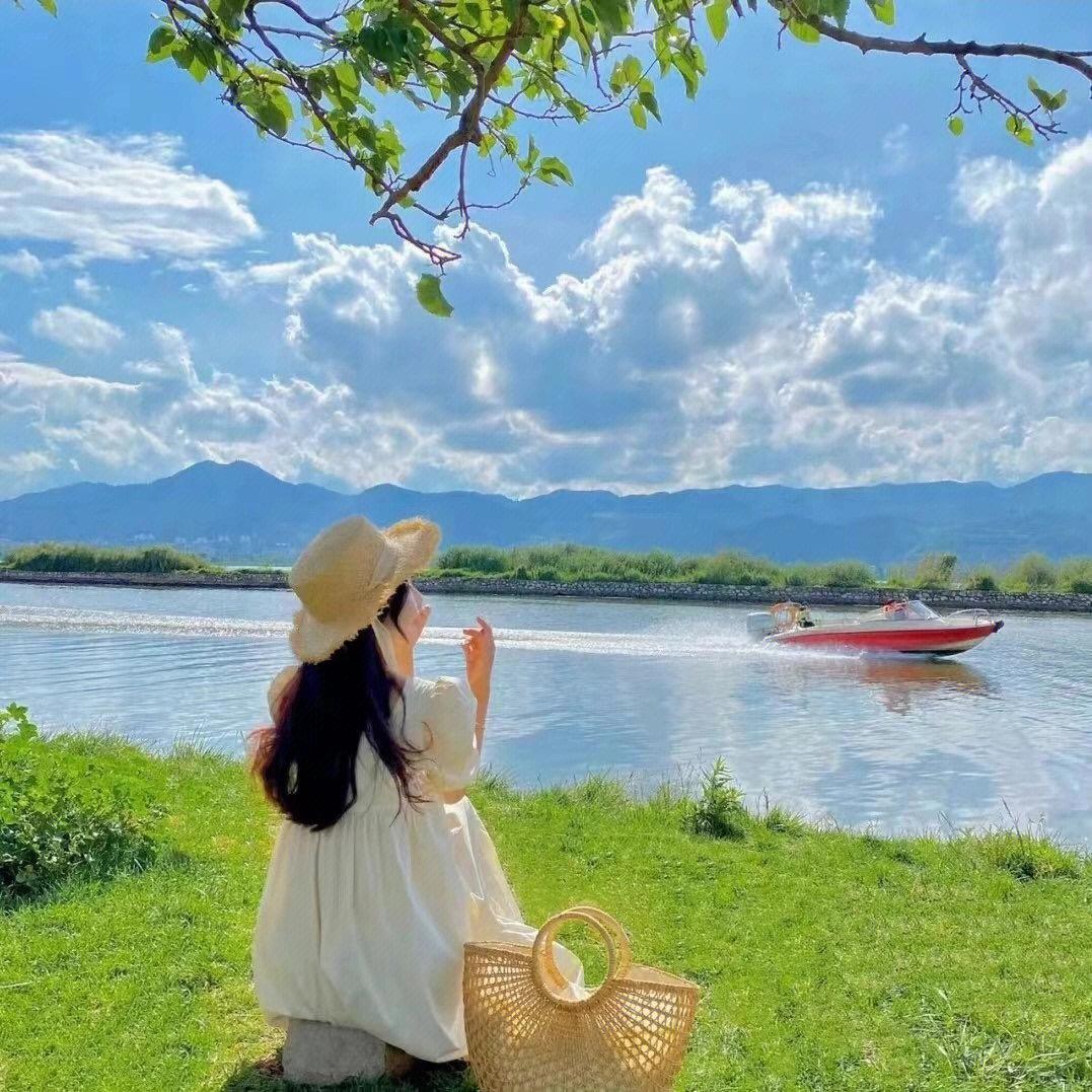 梧桐语