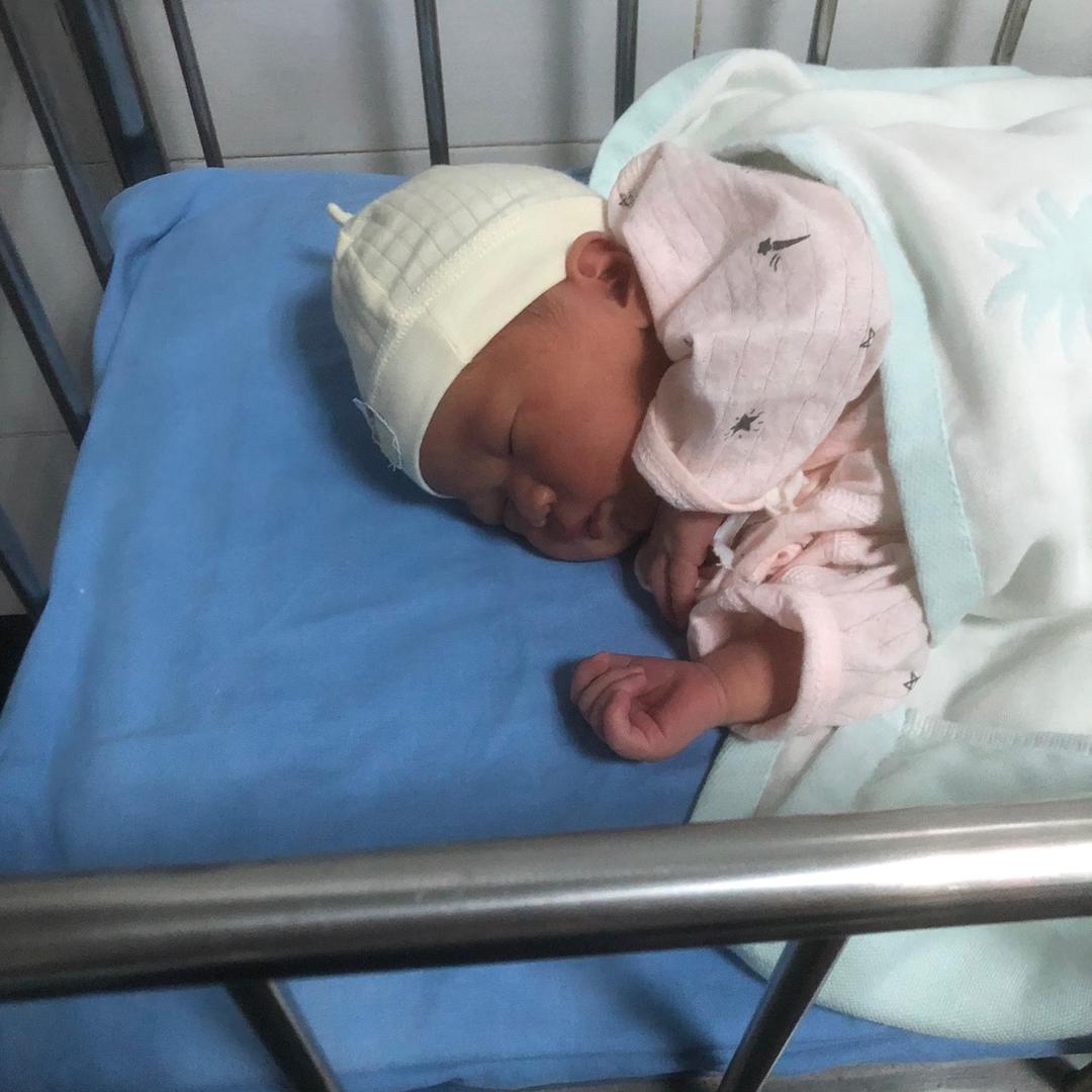 碰花碰草不碰情