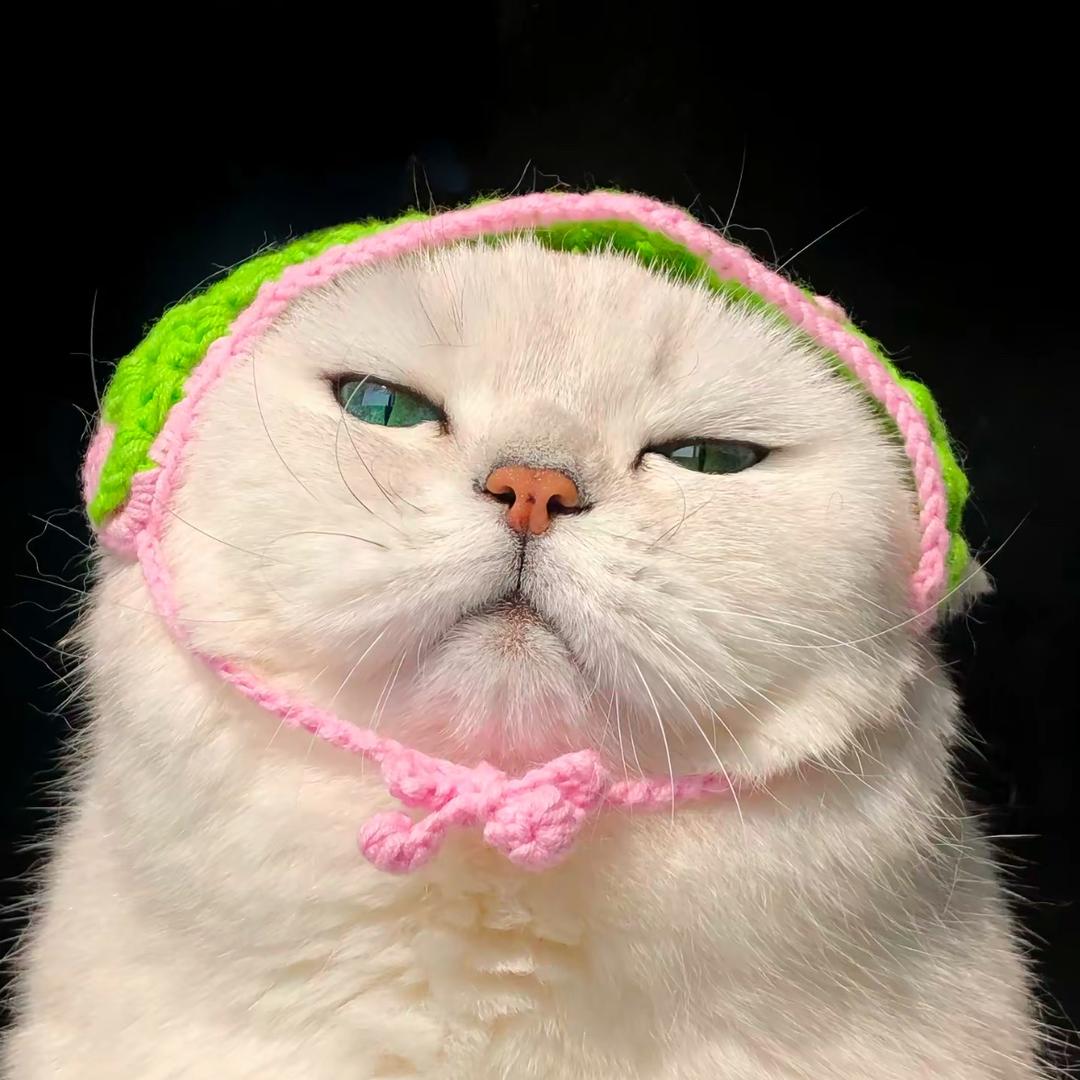 杨二丫