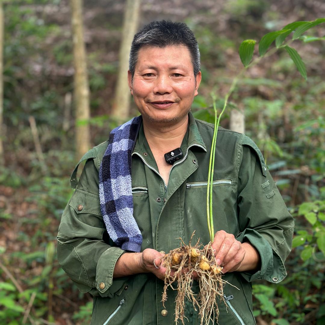 香山苑林