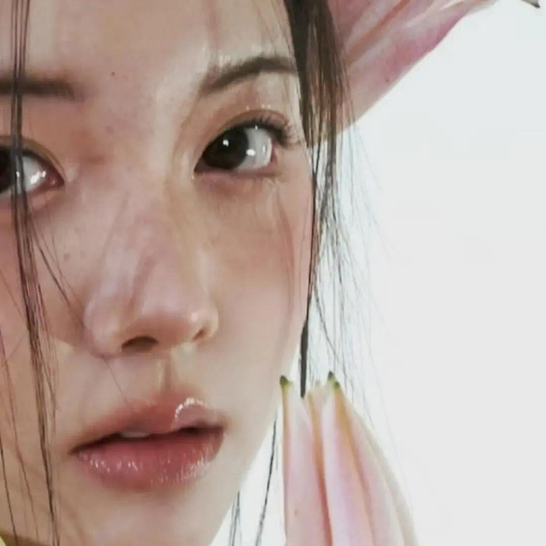 Qin🌸