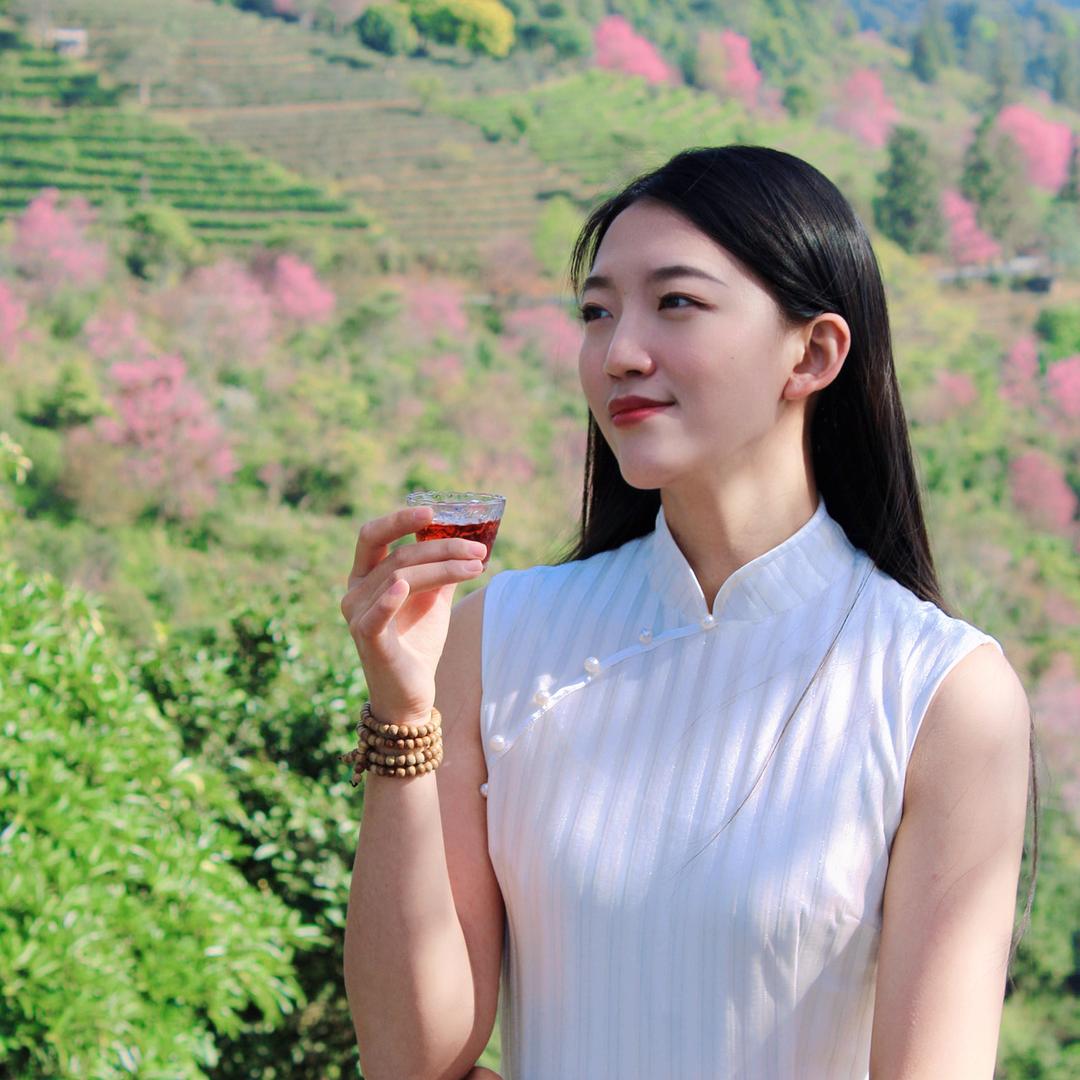 徐天真·普洱茶