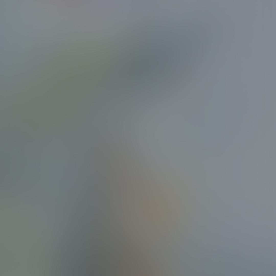 霞姐🌹《雅思》