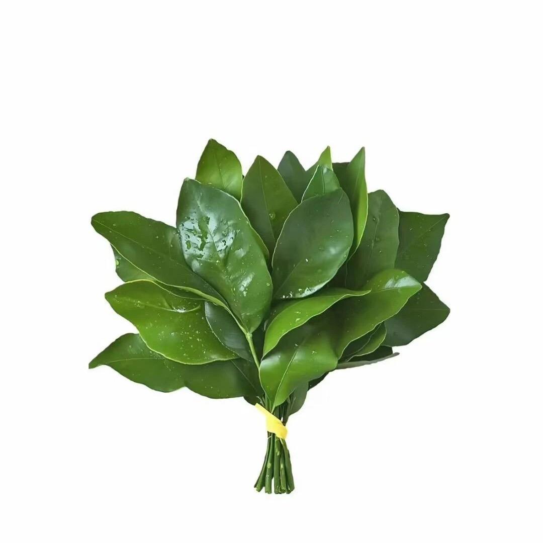 贝才