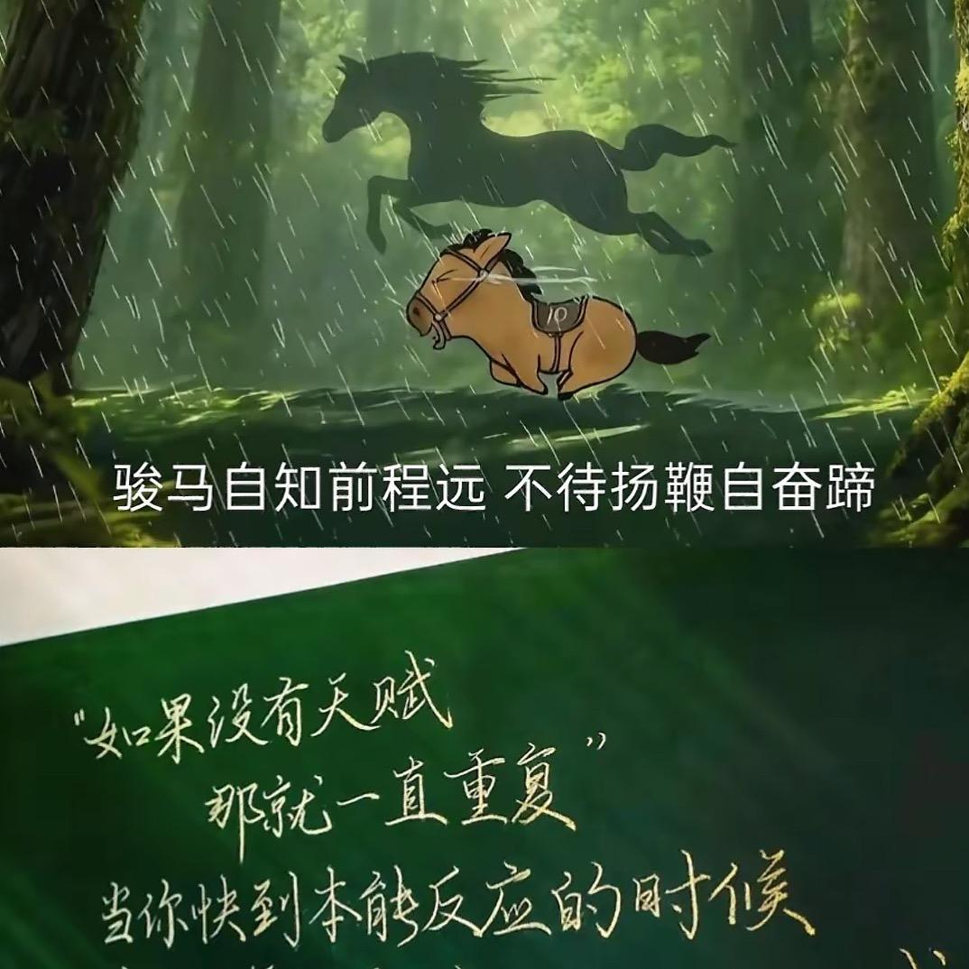 邦邦爱跑步（何不自成宇宙）