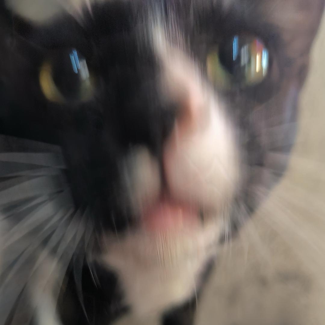 给我几斤查克拉