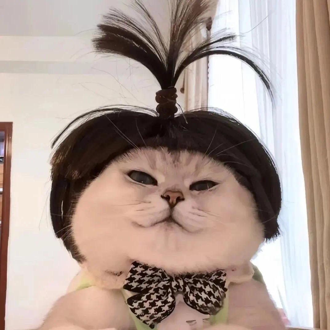 咕噜咕噜　　　　🪳