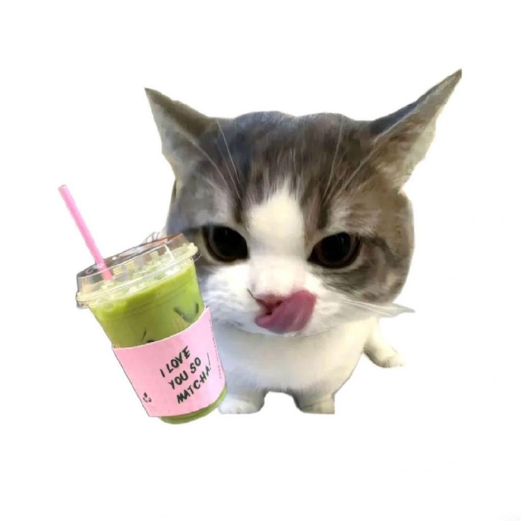 油饼嘛泥