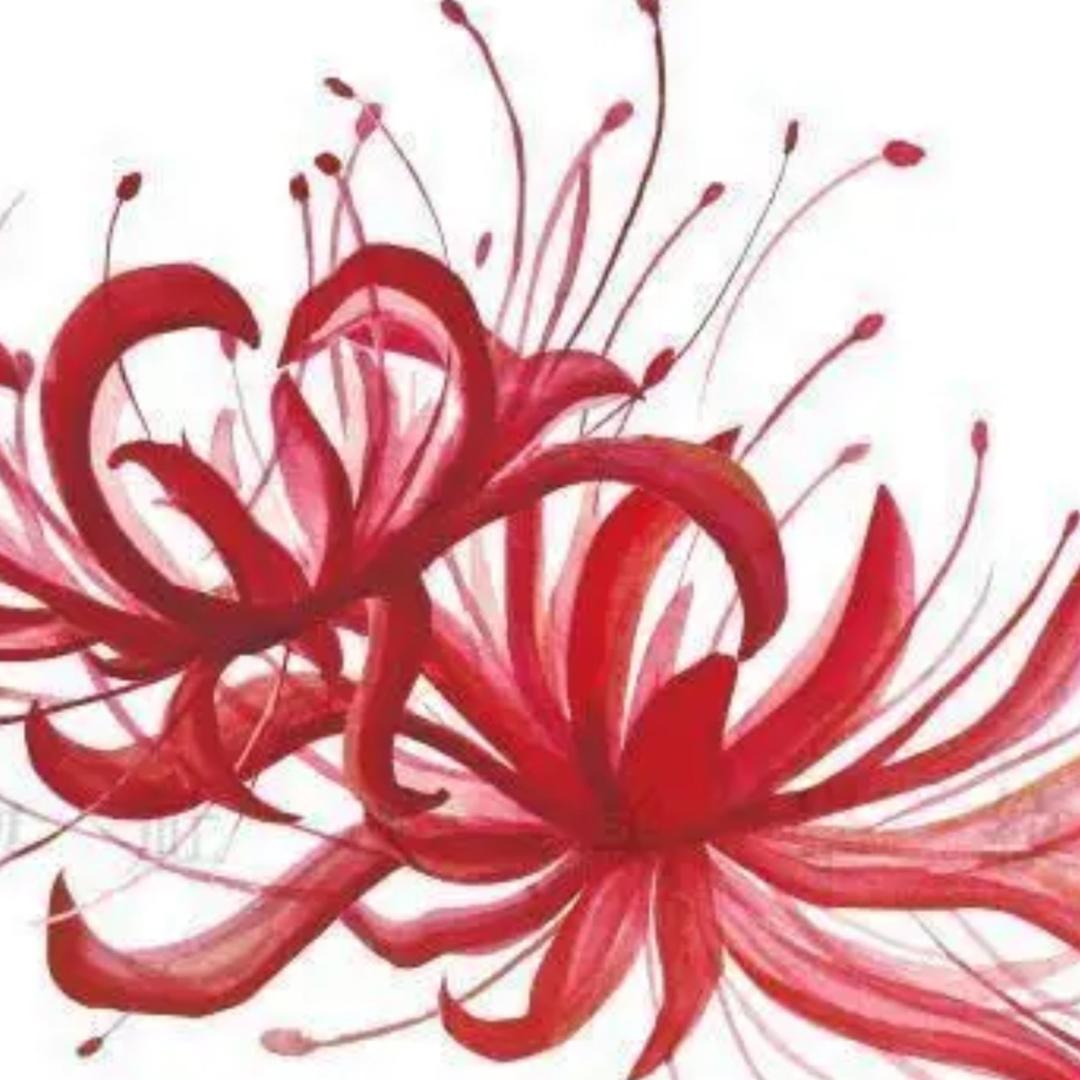 最熟悉的陌生人