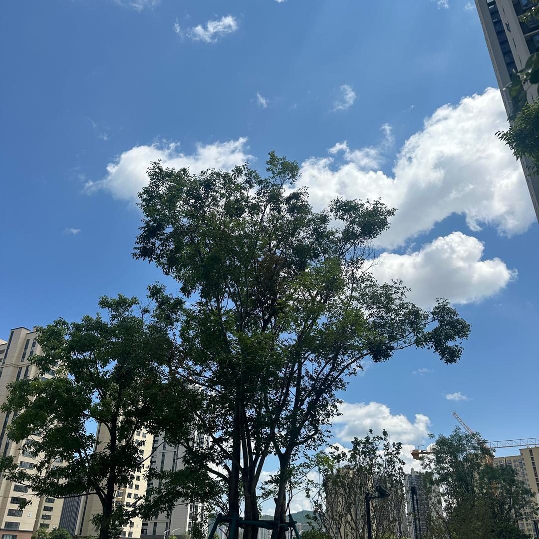 新时代老王
