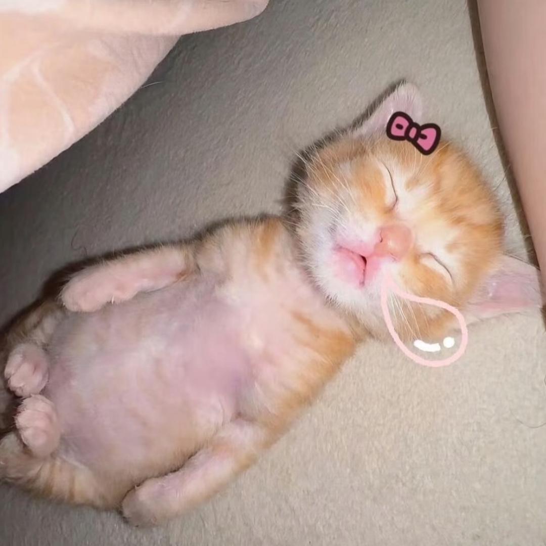 就吃就喝没钱就赊👀