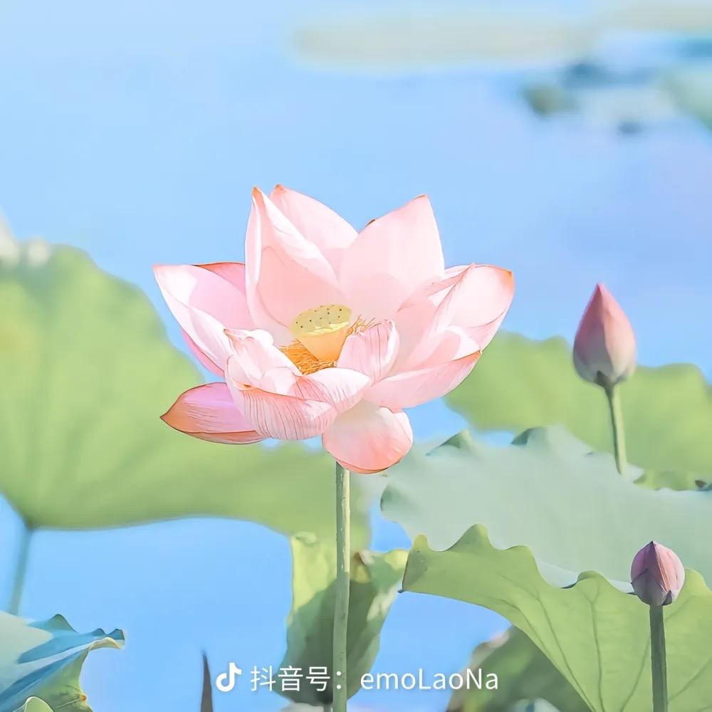 吉林悠然商贸