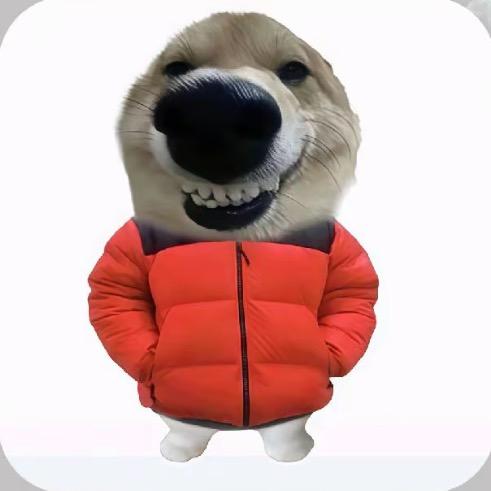 _QJ ni