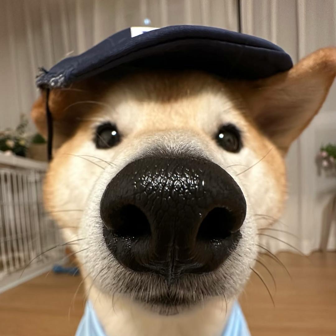 天才小王子