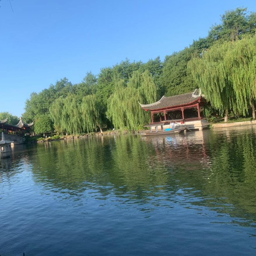 丽丽