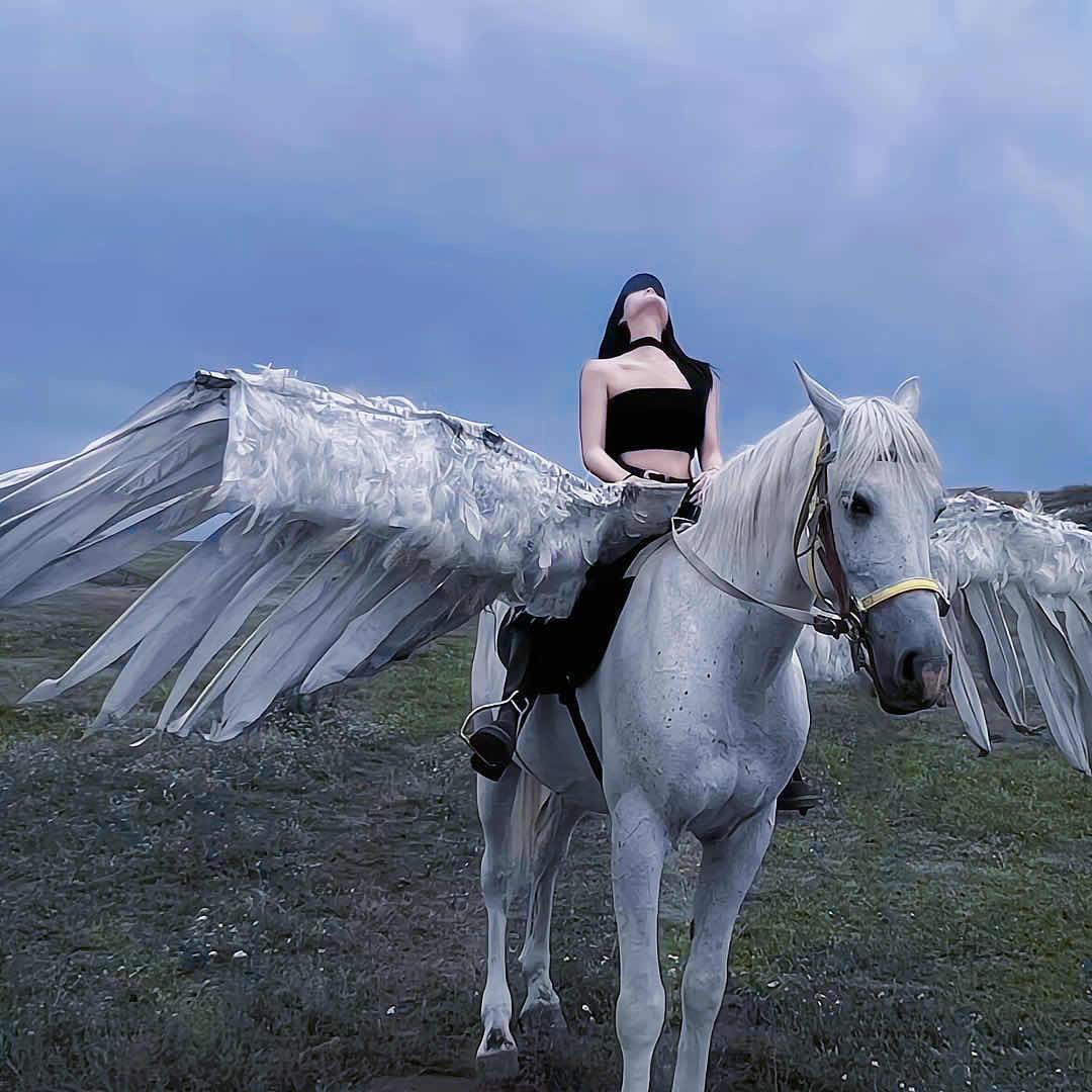 李   小   闹   👄