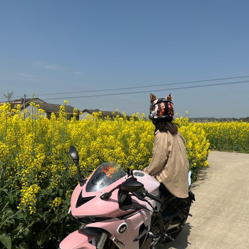 MOTO 小秦