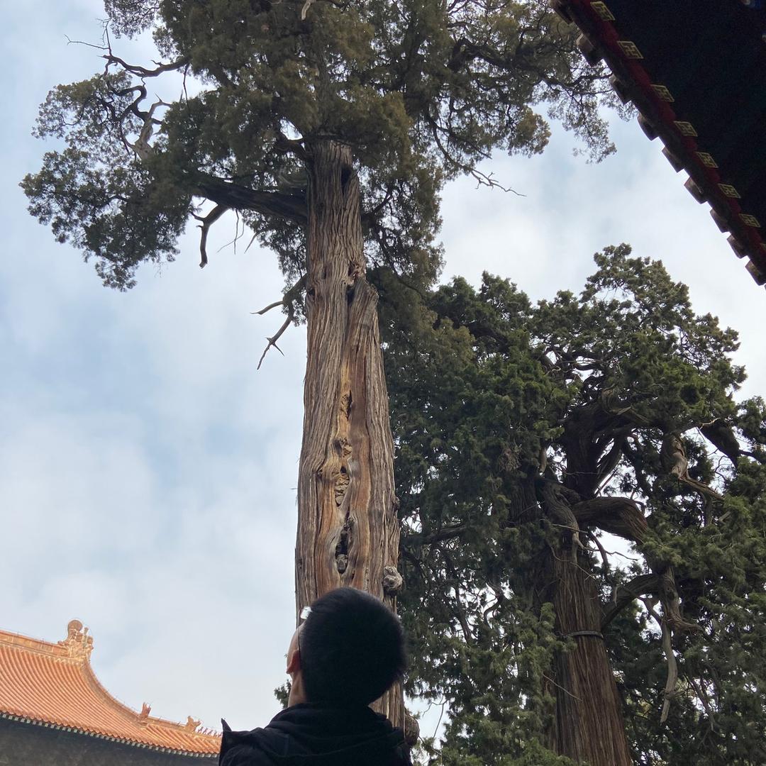 离我远点