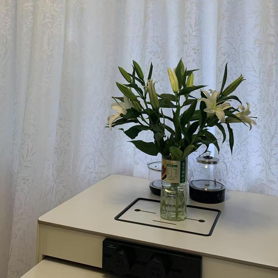 海拉尔非同凡响窗帘小雪姐姐