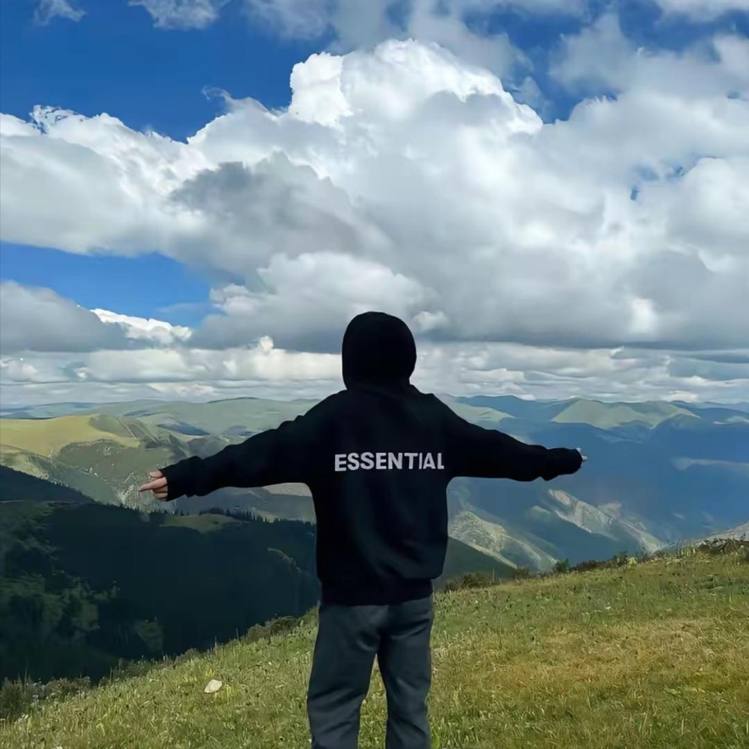 风经过森林