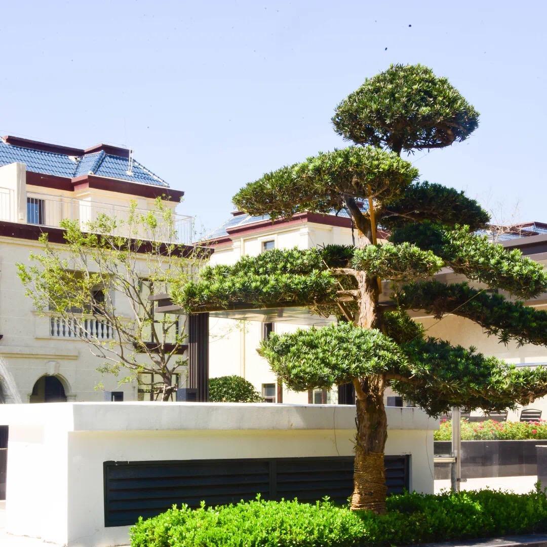 王姐姐‘s house🏠