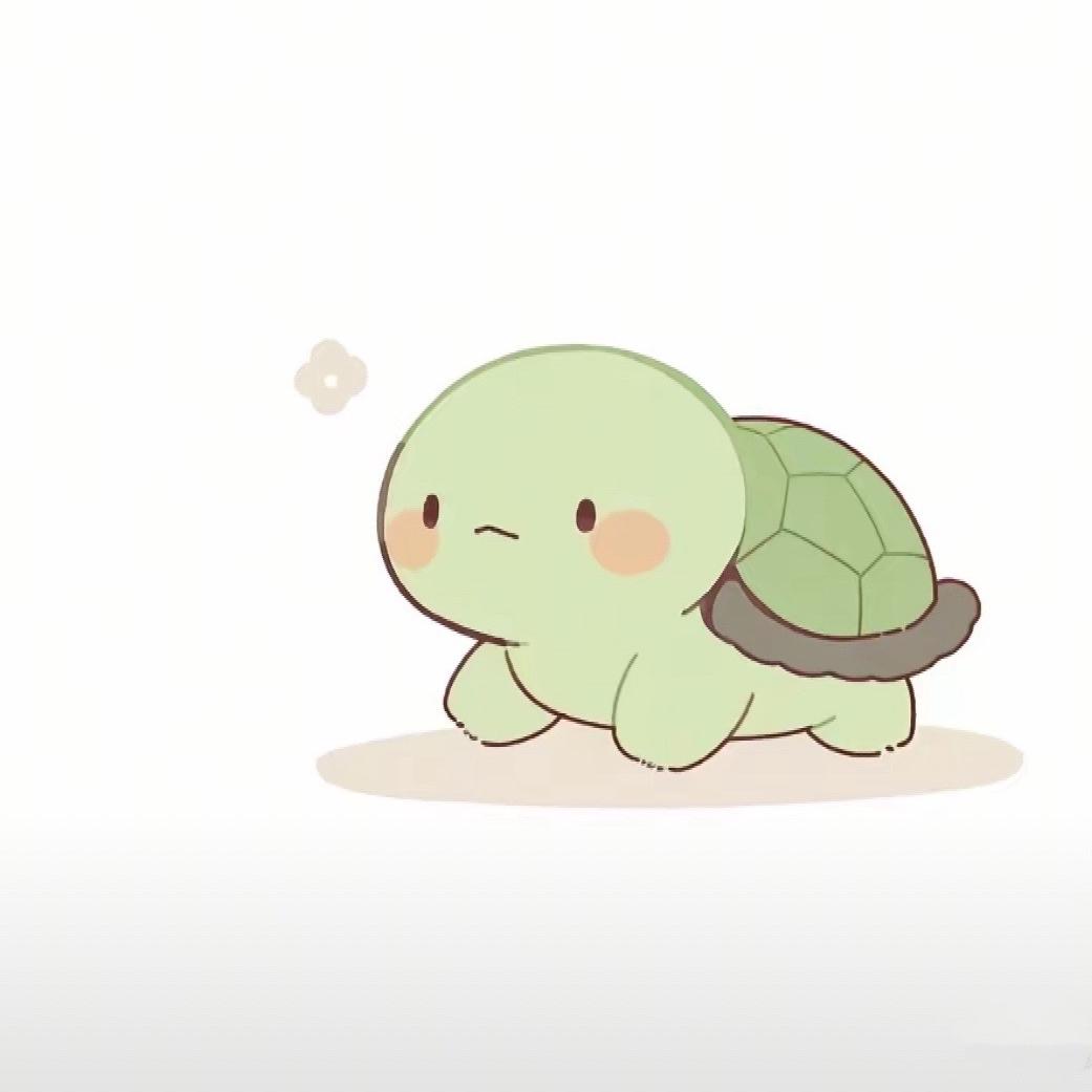 小纯龟宠